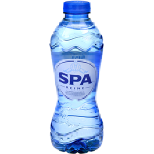 Spa Blauw reine (Pet) 24x33cl.
